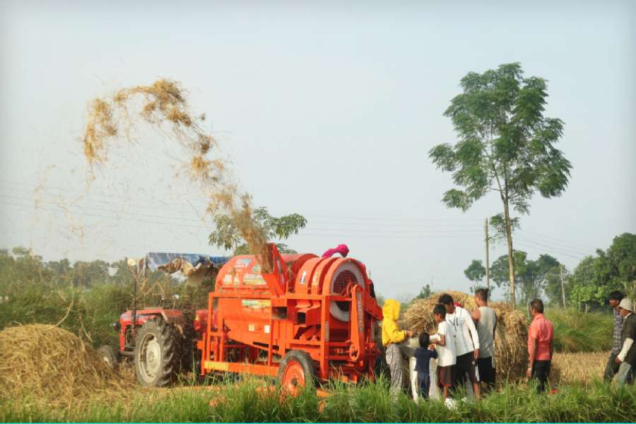 धान थ्रेसरमा परेर एक महिलाको मृत्यु