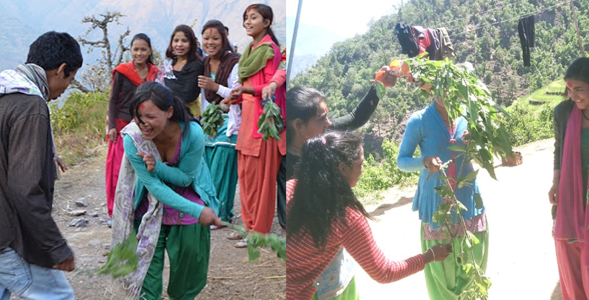 सुदूरपश्चिममा आज ‘बिसु’ पर्व मनाइँदै