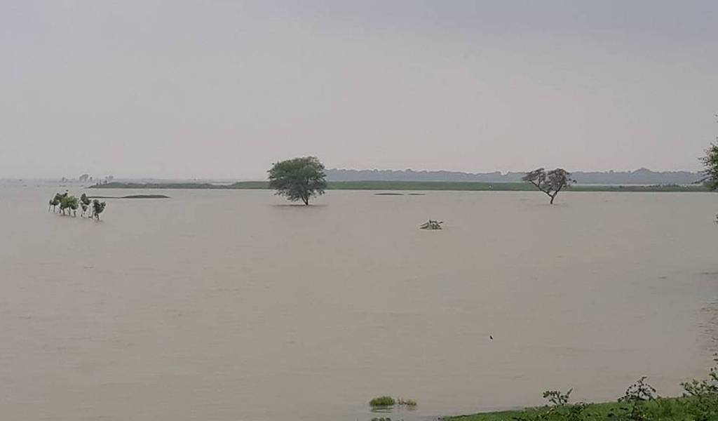 आइतबार पनि भारी वर्षा, सोमबारबाट मौसम सुधार