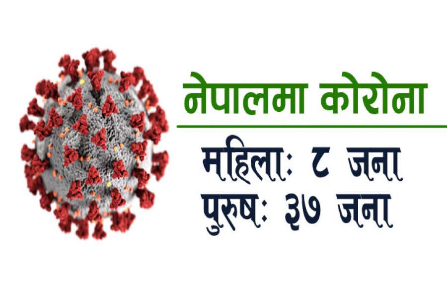 नेपालमा कोरोना संक्रमितहरुको अवस्था: प्रदेश, जिल्ला र लिंगको आधारमा