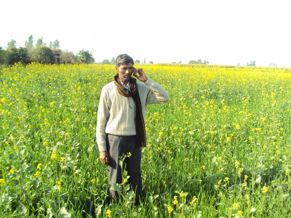 अब तेर्हथुमका किसानलाई कृषि परामर्शको लागि फोन गर्दा पैसा लाग्दैन