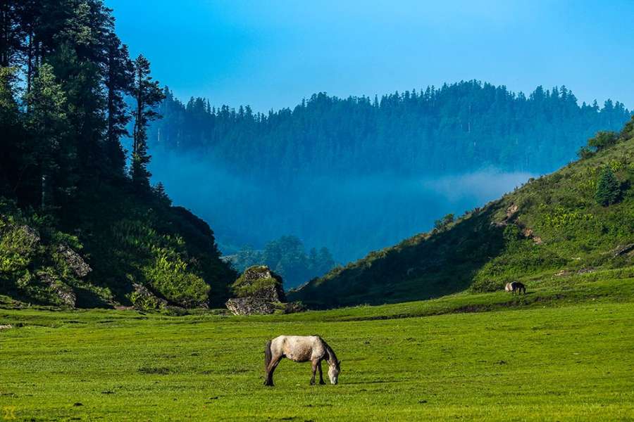 खप्तड घुम्न जाने ? ‘हेली प्याकेज’ को व्यवस्था, प्रतिव्यक्ति कति लाग्छ ?