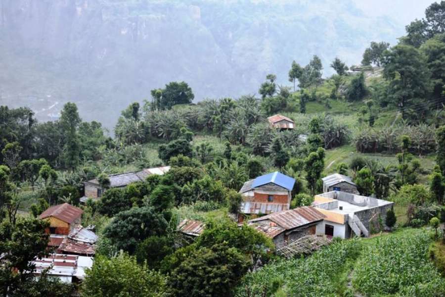 केरा बेचेर वार्षिक रू डेढ करोडभन्दा बढी आम्दानी