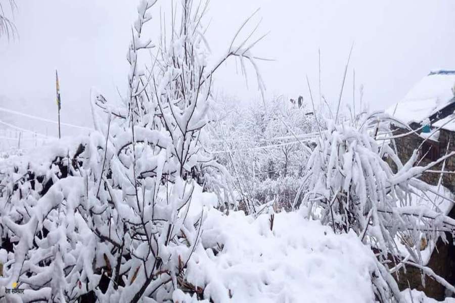 हुम्लामा पुनः हिमपात: किसान खुशी