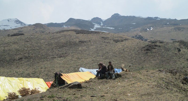 अपी हिमाल गाउँपालिकामा यार्सा संकलनको क्रममा २ जनाको मृत्यु