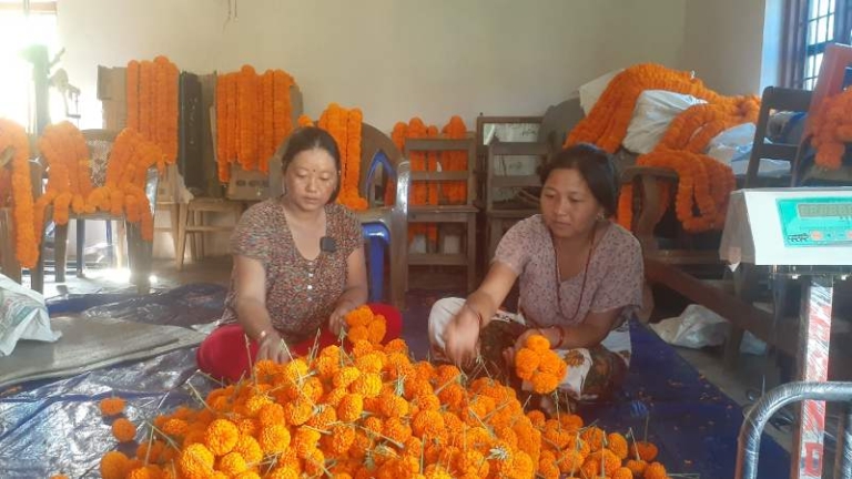 सयपत्री फूलको माग धान्न धौ–धौ