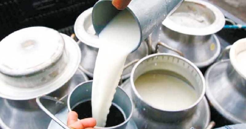 भारतमा दूधको मूल्य बढेपछि नेपाली किसानले बजार पाए