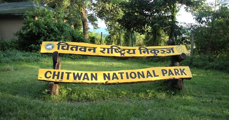 चितवन राष्ट्रिय निकुञ्जमा पर्यटक आगमन बढ्यो