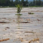 भोटेकोसी बाढीमा मृत्यु हुनेको संख्या २७० पुग्यो