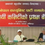एमाले केन्द्रीय कमिटीमा १३ जना मनोनीत